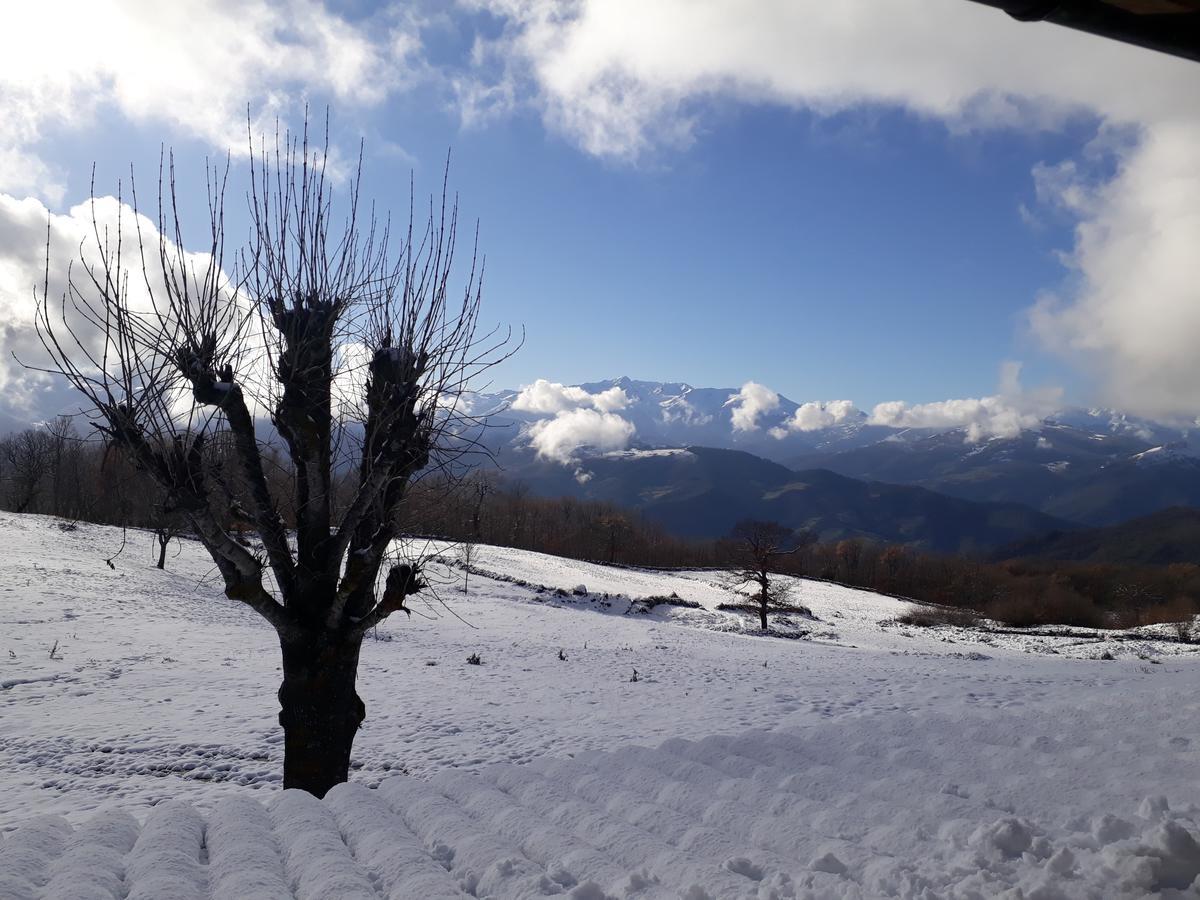 Posada Torcaz Cahecho エクステリア 写真